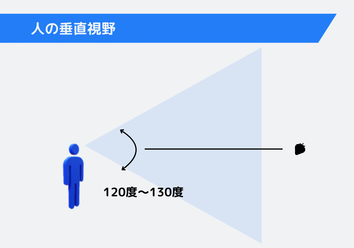人の垂直視野のイメージ図