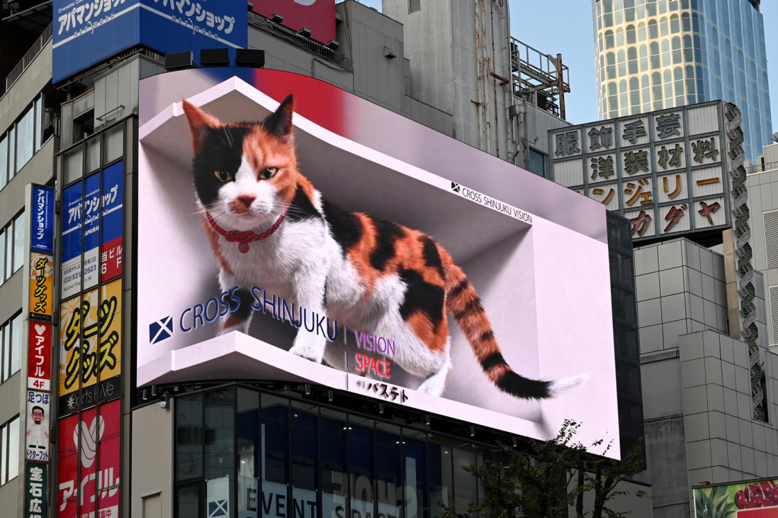 新宿東口の猫「クロス新宿ビジョン」屋外LEDビジョン
