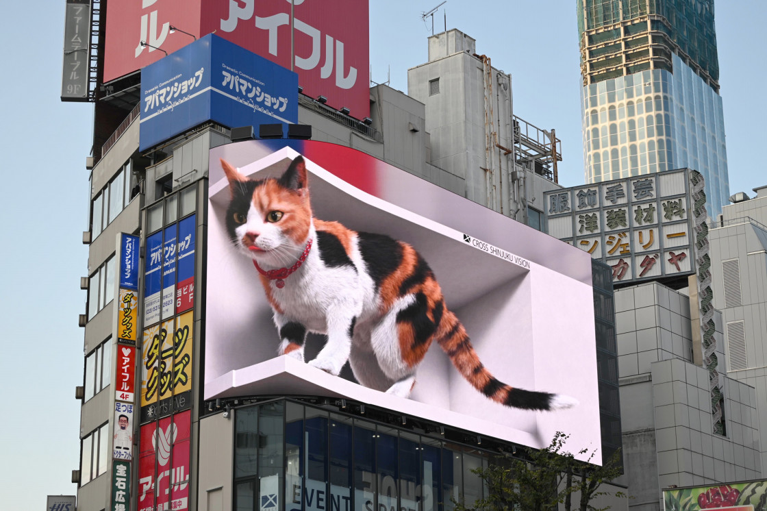 新宿東口の猫「クロス新宿ビジョン」屋外LEDビジョン
