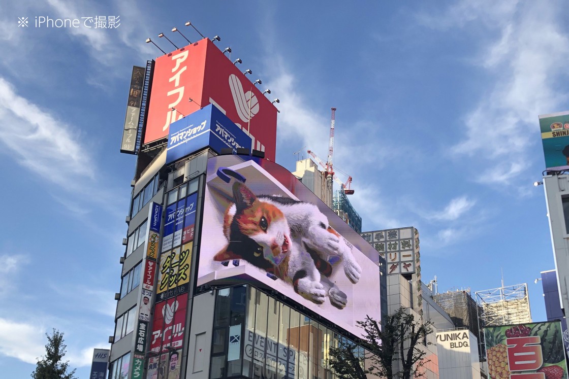 新宿東口の猫「クロス新宿ビジョン」屋外LEDビジョン